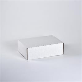 Large Presentation Box White - 310 x 225 x 102 mm