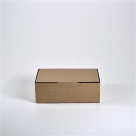 Parcel Box BX 2 Mailer Brown - 310 x 225 x 102 mm