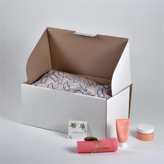 Parcel Box BX 3 Mailer White - 400 x 200 x 180 mm