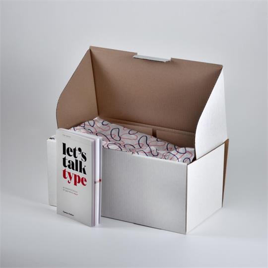 Parcel Box BX 3 Mailer White - 400 x 200 x 180 mm