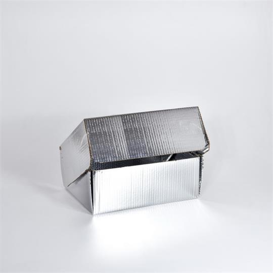 Chilltainer Insulated Home Delivery Box 14L Silver - 366 x 283 x 140 mm