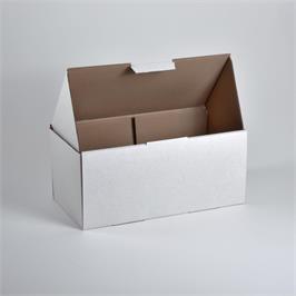 Parcel Box BX 3 Mailer White - 400 x 200 x 180 mm