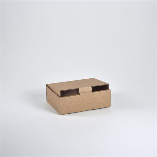 Parcel Box BX 1 Mailer Brown- 220 x 160 x 77 mm